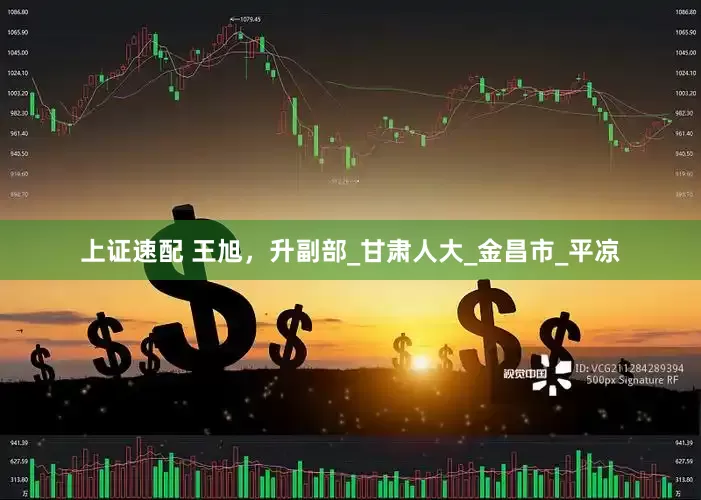 上证速配 王旭，升副部_甘肃人大_金昌市_平凉