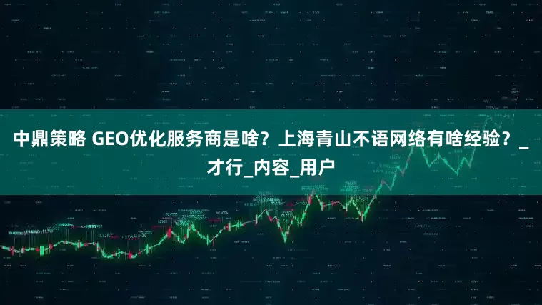 中鼎策略 GEO优化服务商是啥？上海青山不语网络有啥经验？_才行_内容_用户