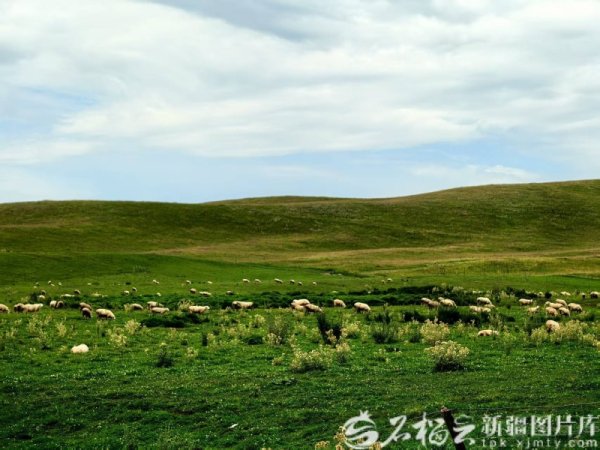 园十州 祖国大家庭的温暖丨牧区转型走出双赢路